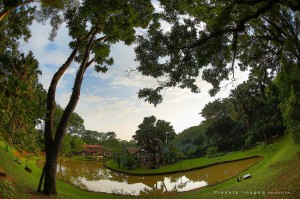 12657893_1153377018019860_1077121834976961322_o