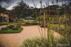 13147404_630834163737548_718947217690393845_o