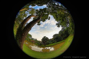 1397210_1153377011353194_693709650127811111_o