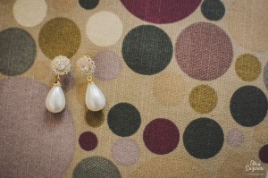 14500275_1351680058228852_4570931613837939629_o