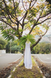 14500405_1351681504895374_6281104978738369748_o