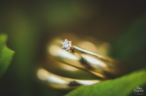 14608727_1351719134891611_6583461656991322281_o