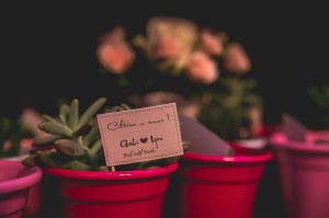 15025386_10155432899857785_3694492351066608185_o