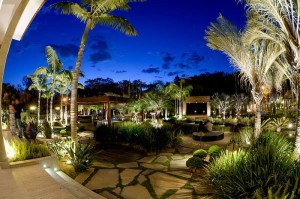 15078559_1108439935940947_4682819721075064206_n