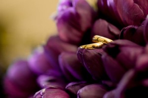 15094247_1108441785940762_1321894730028584907_n