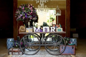 15094505_1108389072612700_4320089025038625061_n