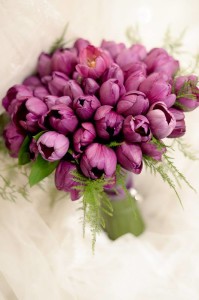 15109577_1108386992612908_292793338442353492_n