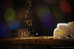 14305234_1321158291241731_2680174399768153958_o