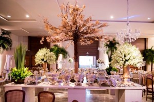 16683969_1096186267156721_3204489753821510020_n