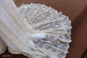 neopix fotografia | renato mendez