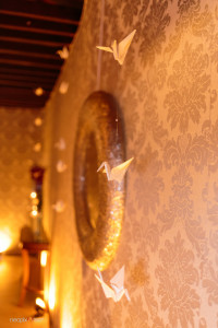 neopix fotografia | renato mendez