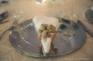 17621868_1540070282683863_3177217594143033216_o