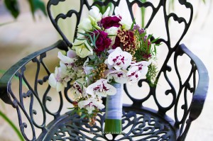 15875191_10202687221618413_8875586907570932313_o