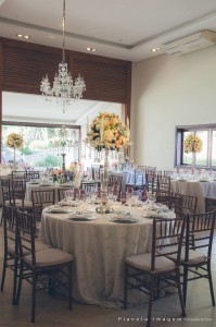 16707481_1491302480893977_7115080596529293648_o-2