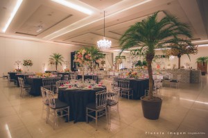 18404129_1594700303887527_6110828005731217339_o