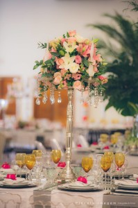 18451432_1594698010554423_5839506987312821736_o