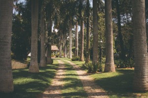 16300538_1199767080071683_4200006350515526125_o