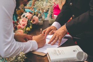 16403126_1199737220074669_6831132866827539563_o