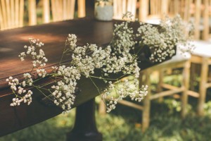 16487714_1199733266741731_5997192034265912455_o