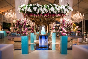 16179387_1230477337028630_8168010402265783000_o