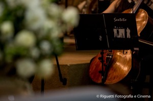 12238149_10201139994018690_5919221646868628183_o