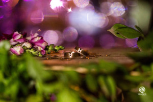 Cas. Thaís & Marcio  (115)