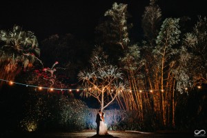 WhatsApp Image 2018-11-26 at 15.55.06 (3)