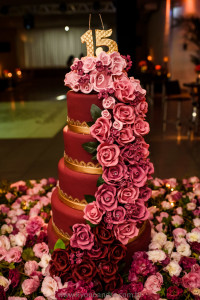 Festa-de-15-anos-debutante-gabi-di-nucci-21