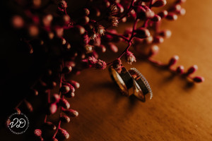 @victorsilveriofotografia (133)