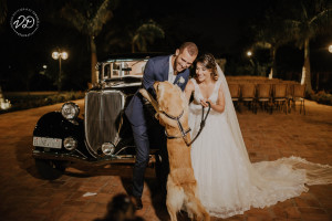 @victorsilveriofotografia (98)