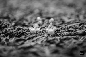 nayara-e-julio-campinas-igreja-santa-rita-de-cassia-e-quinta-das-bromelias_casamento-nayara-e-julio-quinta-das-bromelias-casar-na-igreja-4