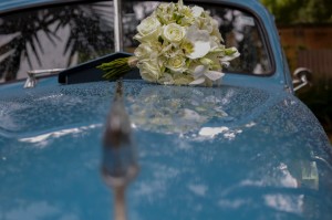 WhatsApp Image 2018-12-03 at 20.40.29(2)