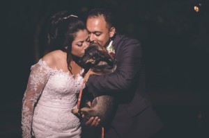 WhatsApp Image 2019-02-07 at 09.40.08 (1)