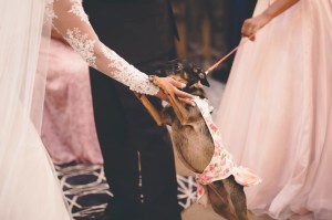 WhatsApp Image 2019-02-08 at 16.07.17