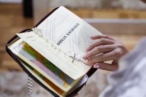 WhatsApp Image 2019-02-25 at 20.43.27