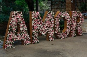 WhatsApp Image 2019-02-25 at 20.45.12 (2)