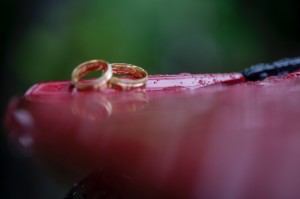 WhatsApp Image 2019-02-25 at 20.45.50