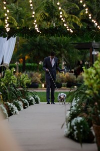 PHOTO-2019-07-07-16-58-27 2