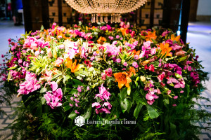 Cas Tatiany e Mauricio-183