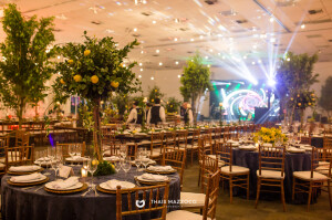 aniversario-50-anos-ana-ligia-fotografa-thais-mazzoco-1