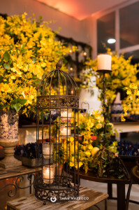 aniversario-50-anos-ana-ligia-fotografa-thais-mazzoco-10