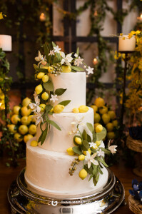 aniversario-50-anos-ana-ligia-fotografa-thais-mazzoco-12