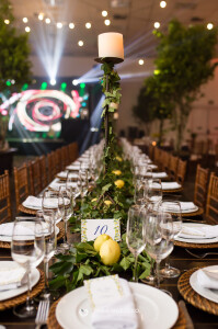 aniversario-50-anos-ana-ligia-fotografa-thais-mazzoco-17