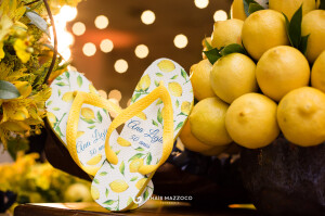 aniversario-50-anos-ana-ligia-fotografa-thais-mazzoco-196