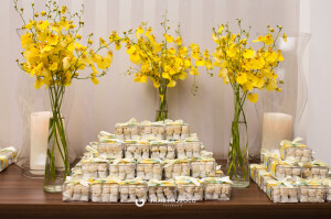 aniversario-50-anos-ana-ligia-fotografa-thais-mazzoco-25