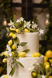 aniversario-50-anos-ana-ligia-fotografa-thais-mazzoco-29