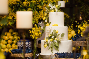 aniversario-50-anos-ana-ligia-fotografa-thais-mazzoco-31