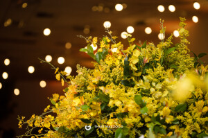 aniversario-50-anos-ana-ligia-fotografa-thais-mazzoco-39