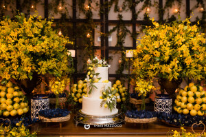 aniversario-50-anos-ana-ligia-fotografa-thais-mazzoco-5