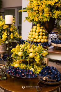 aniversario-50-anos-ana-ligia-fotografa-thais-mazzoco-98